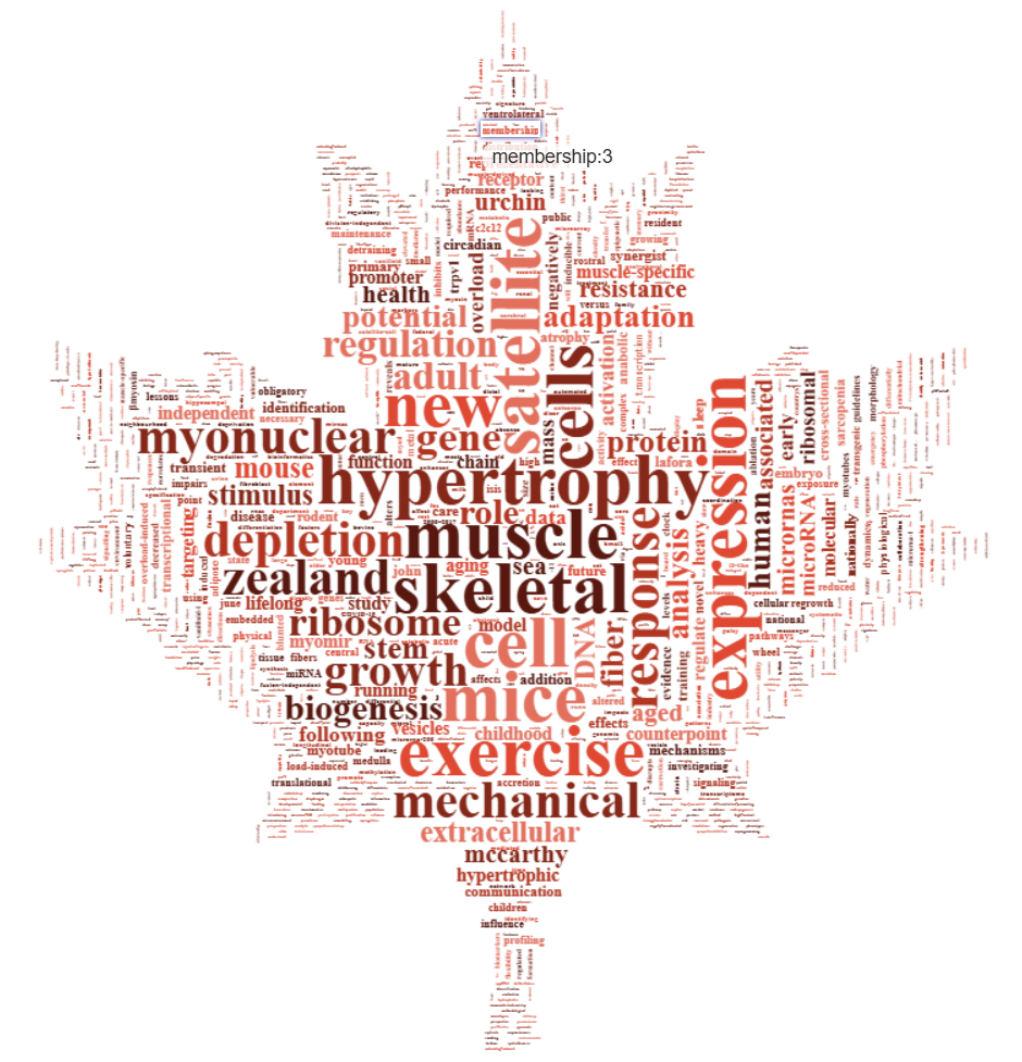 Word Cloud