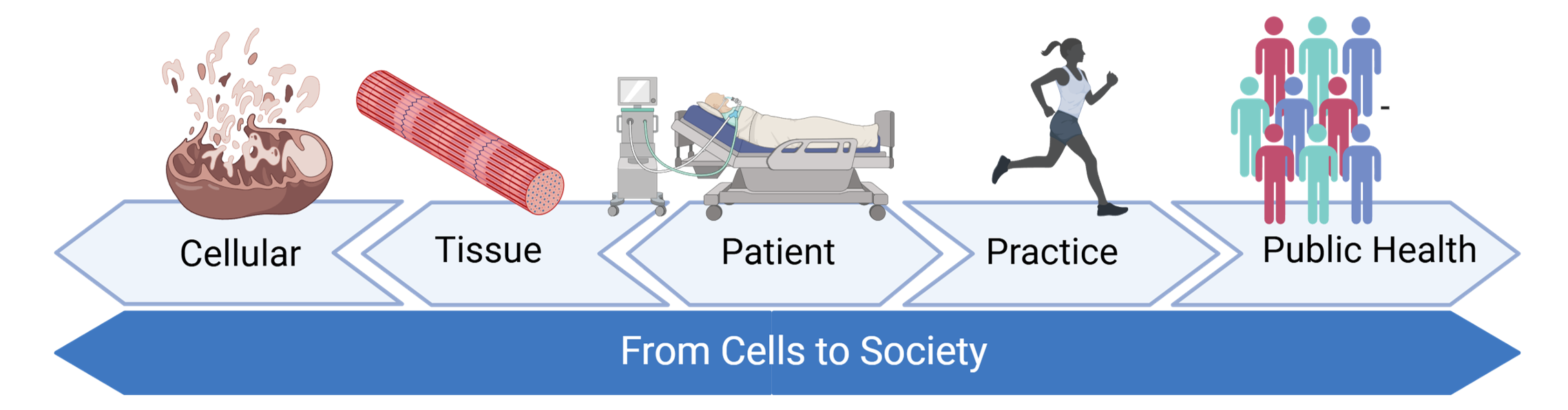 Mayer Lab Diagram